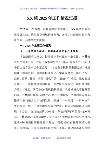 XX镇2025年工作情况汇报