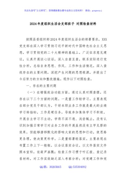 2024年度组织生活会支部班子对照检查材料