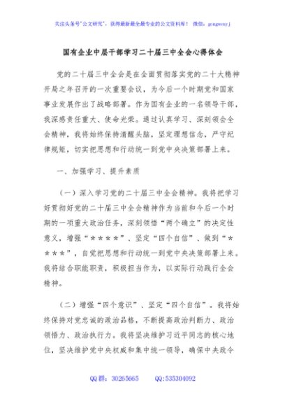 国有企业中层干部学习二十届三中全会心得体会