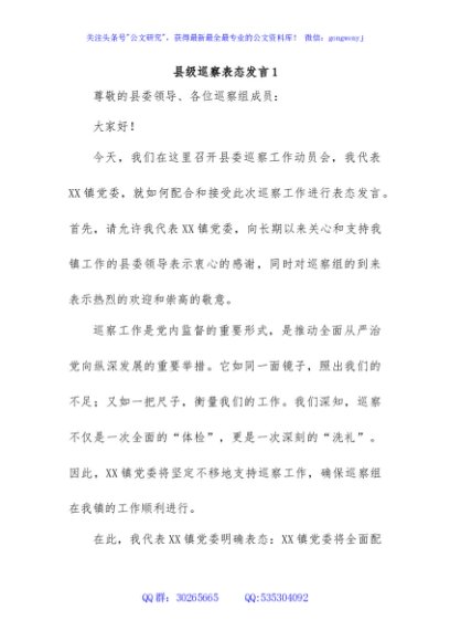 县级巡察表态发言