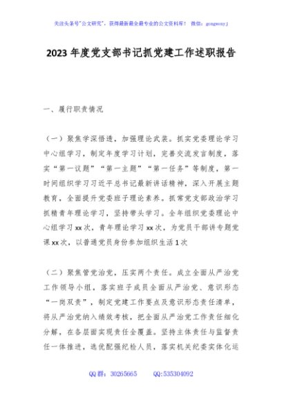 2023年度党支部书记抓党建工作述职报告