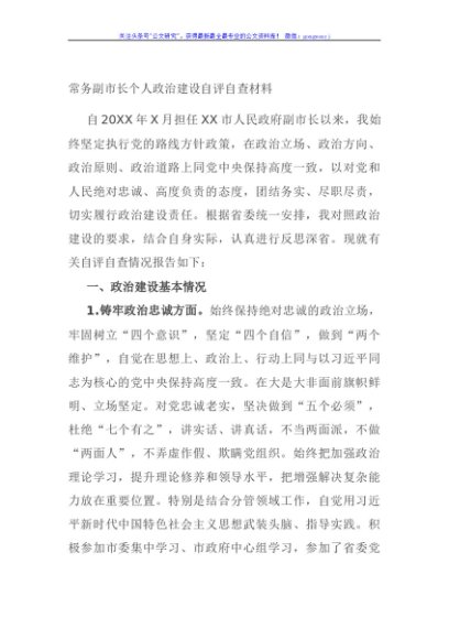 常务副市长个人政治建设自评自查材料