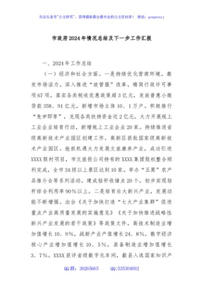 市政府2024年情况总结及下一步工作汇报