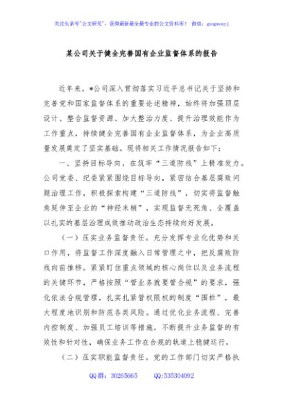 某公司关于健全完善国有企业监督体系的报告