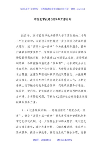 市行政审批局2025年工作计划