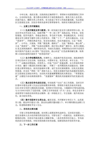 审计局党组书记抓党建述职报告