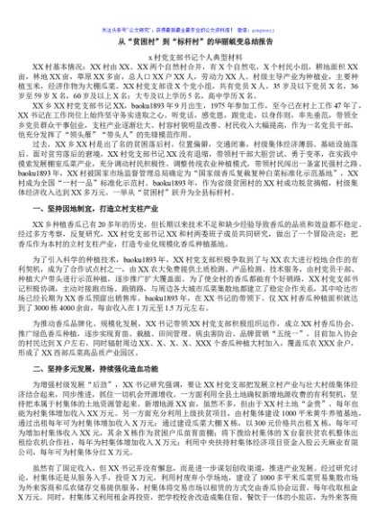 x村党支部书记个人典型材料