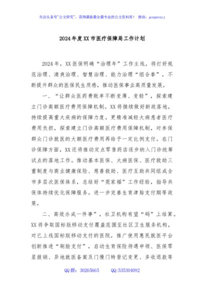 2024年度XX市医疗保障局工作计划