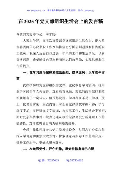 在2025年党支部组织生活会上的发言稿