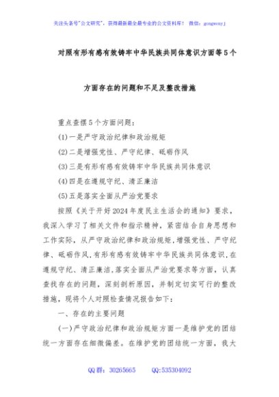 对照有形有感有效铸牢中华民族共同体意识方面等 5 个方面存在的问题和不足及整改措施