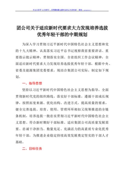 团公司关于适应新时代要求大力发现培养选拔优秀年轻干部的中期规划
