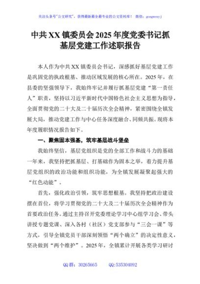 中共XX镇委员会2025年度党委书记抓基层党建工作述职报告