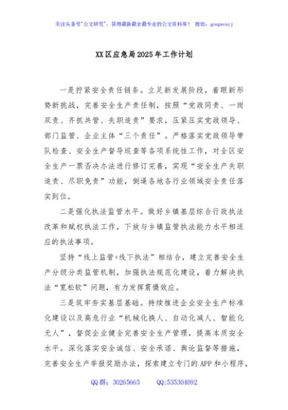 XX区应急局2025年工作计划