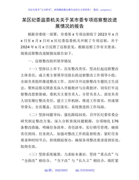 区纪委监委关于专项巡察整改进展情况的总结报告