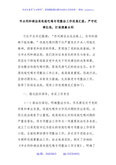 市水利和湖泊局违规吃喝专项整治工作进展汇报：严守纪律红线，打造清廉水利