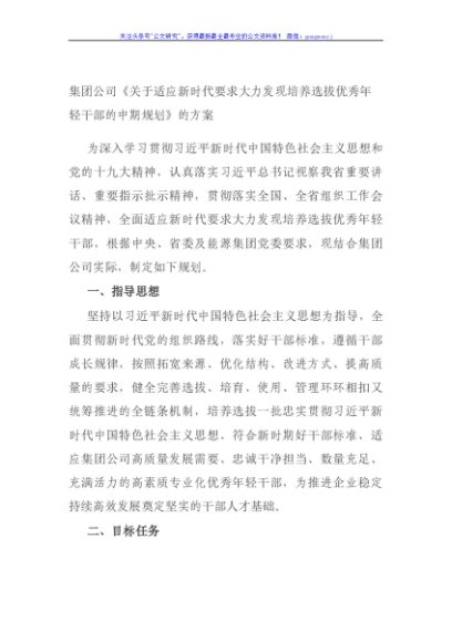 集团公司《关于适应新时代要求大力发现培养选拔优秀年轻干部的中期规划》的方案