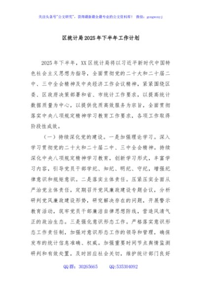 区统计局2025年下半年工作计划