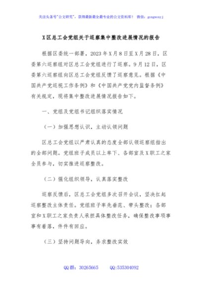 X区总工会党组关于巡察集中整改进展情况的报告
