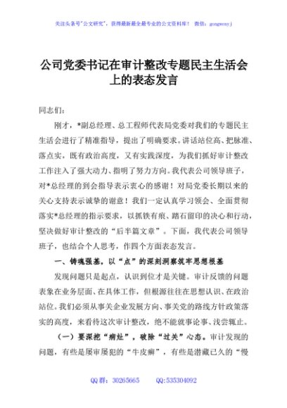 公司党委书记在审计整改专题民主生活会上的表态发言