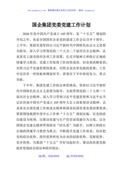 国企集团党委党建工作计划
