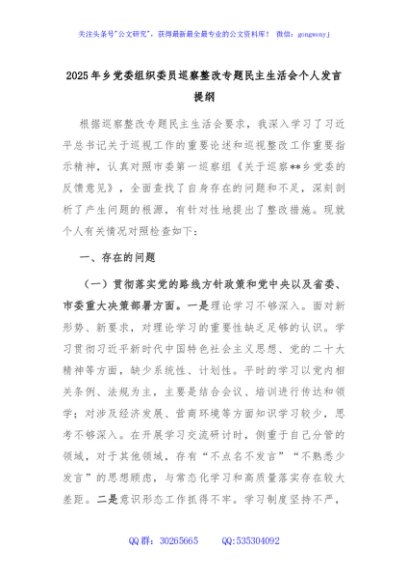 2025年乡党委组织委员巡察整改专题民主生活会个人发言提纲