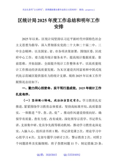 区统计局2025年度工作总结和明年工作安排