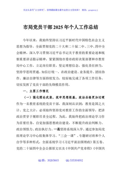 市局党员干部2025年个人工作总结