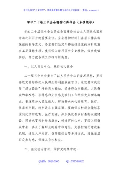 学习二十届三中全会精神心得体会（乡镇领导）