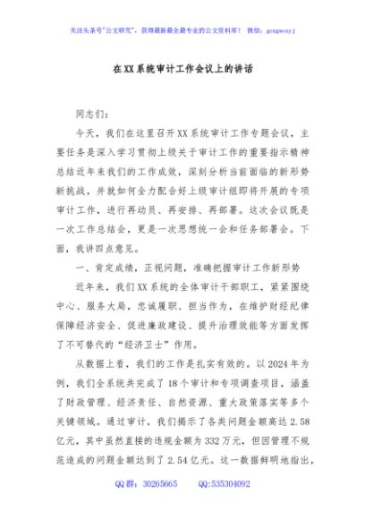 在XX系统审计工作会议上的讲话