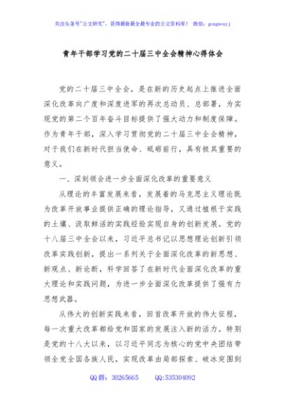 青年干部学习党的二十届三中全会精神心得体会