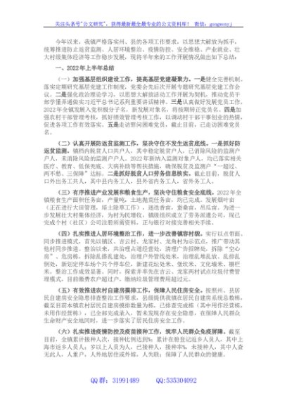镇人民政府2022年上半年工作总结暨2022年下半年工作计划
