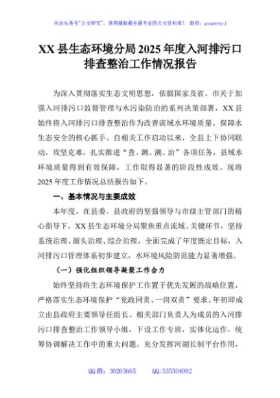 XX县生态环境分局2025年度入河排污口排查整治工作情况报告