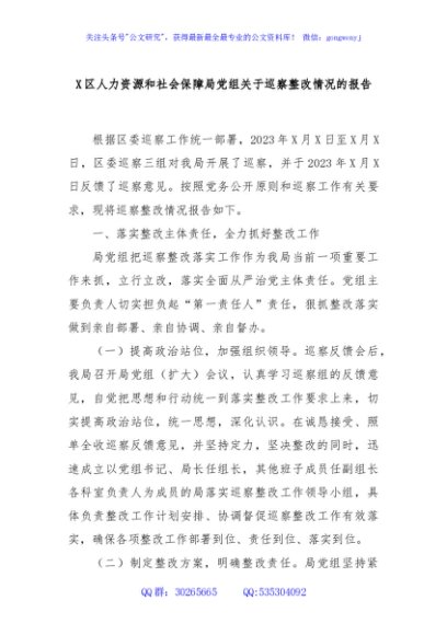 X区人力资源和社会保障局党组关于巡察整改情况的报告
