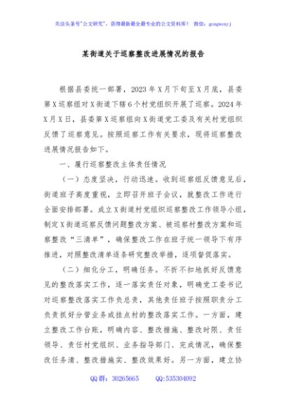 某街道关于巡察整改进展情况的报告