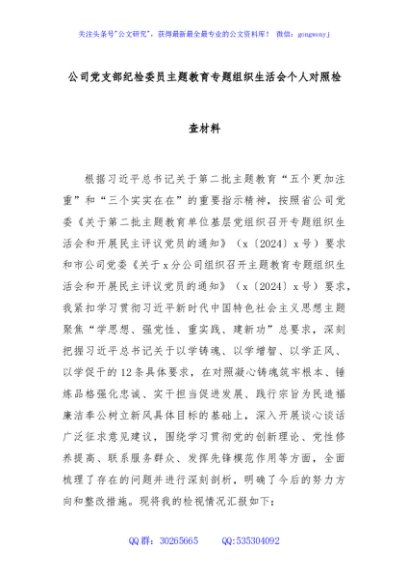 公司党支部纪检委员主题教育专题组织生活会个人对照检查材料
