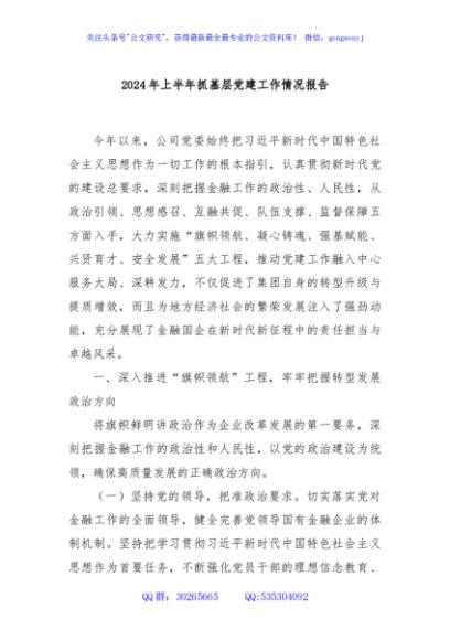 2024年上半年抓基层党建工作情况报告