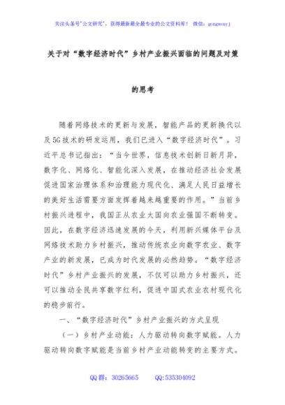 关于对“数字经济时代”乡村产业振兴面临的问题及对策的思考