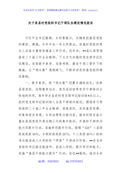 关于某县村党组织书记干部队伍建设情况报告