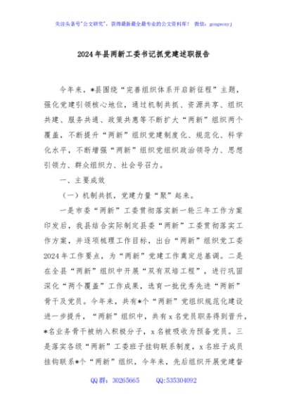 2024年县两新工委书记抓党建述职报告