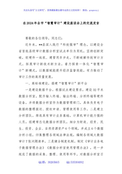 在2024年全市“智慧审计”建设座谈会上的交流发言