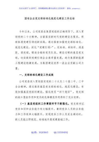 国有企业党支部标准化规范化建设工作总结