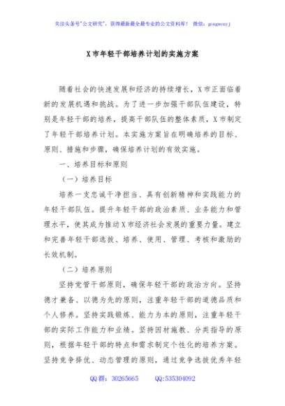 X市年轻干部培养计划的实施方案