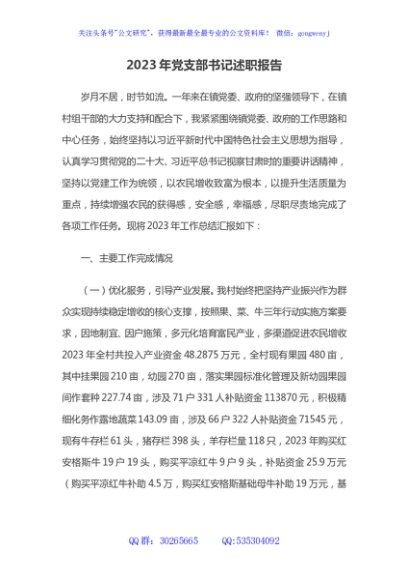 2023年党支部书记述职报告