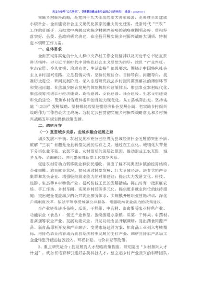 X县开展实施乡村振兴战略调研工作方案