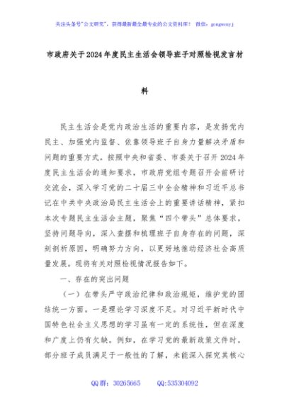 市政府关于2024年度民主生活会领导班子对照检视发言材料