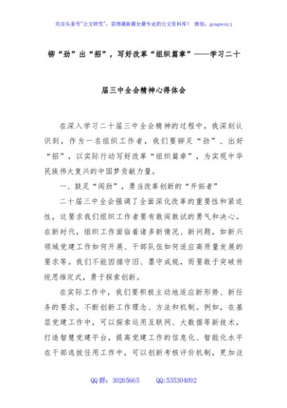 铆“劲”出“招”，写好改革“组织篇章”——学习二十届三中全会精神心得体会