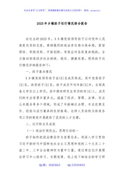 2025年乡镇班子运行情况综合报告