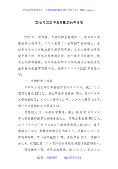 XX 公司2023年总结暨2024年计划