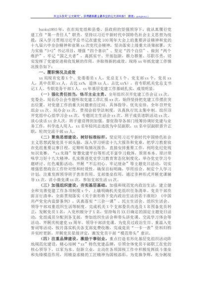 X县税务局党委书记党建工作述职报告