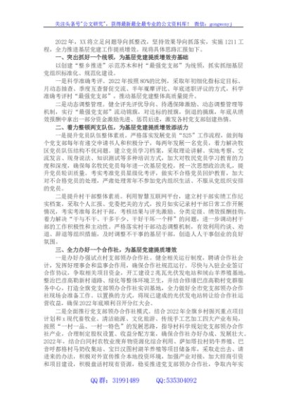 乡镇2022年基层党建工作计划 (4)